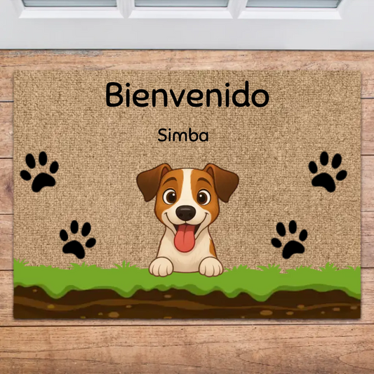 Paillasson Personnalisé Draw My Pets V2